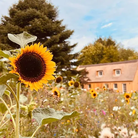 Reethaus L - Sommerhaus 54