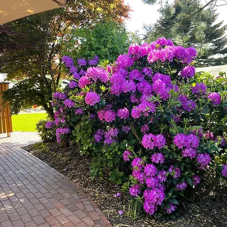 Reethaus L - Sommerhaus 54